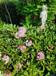 Gartenanlage Wohntraum am Naturschutzgebiet