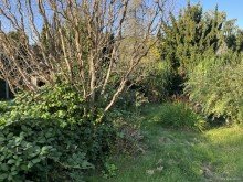 Garten Renditestarke Immobilie kurz vor Hamburgs Toren