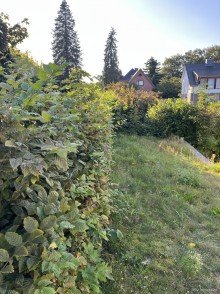 Rasenfl�che hinter Stra�enhecke Renditestarke Immobilie kurz vor Hamburgs Toren